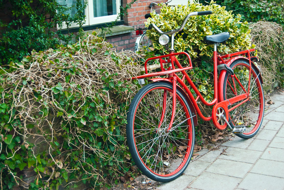 Zalety rowerów holenderskich